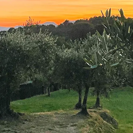Alloro 2 Διαμέρισμα