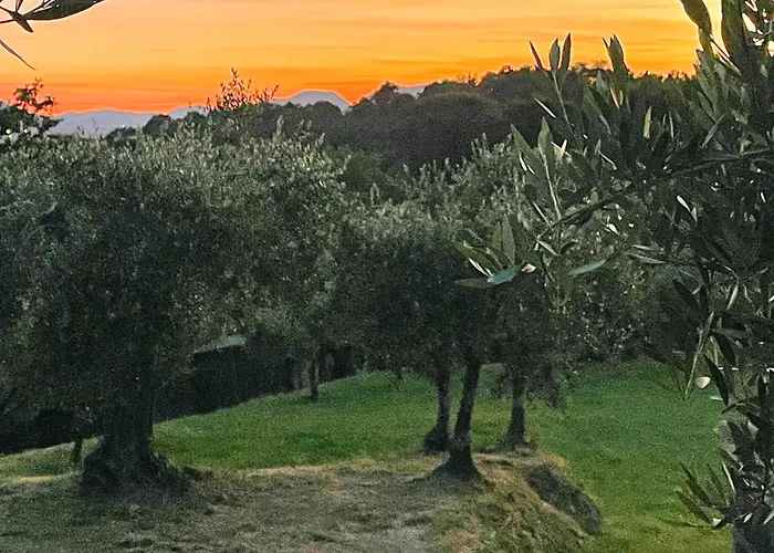 Alloro 2 Διαμέρισμα