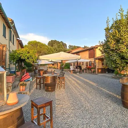 Alloro 2